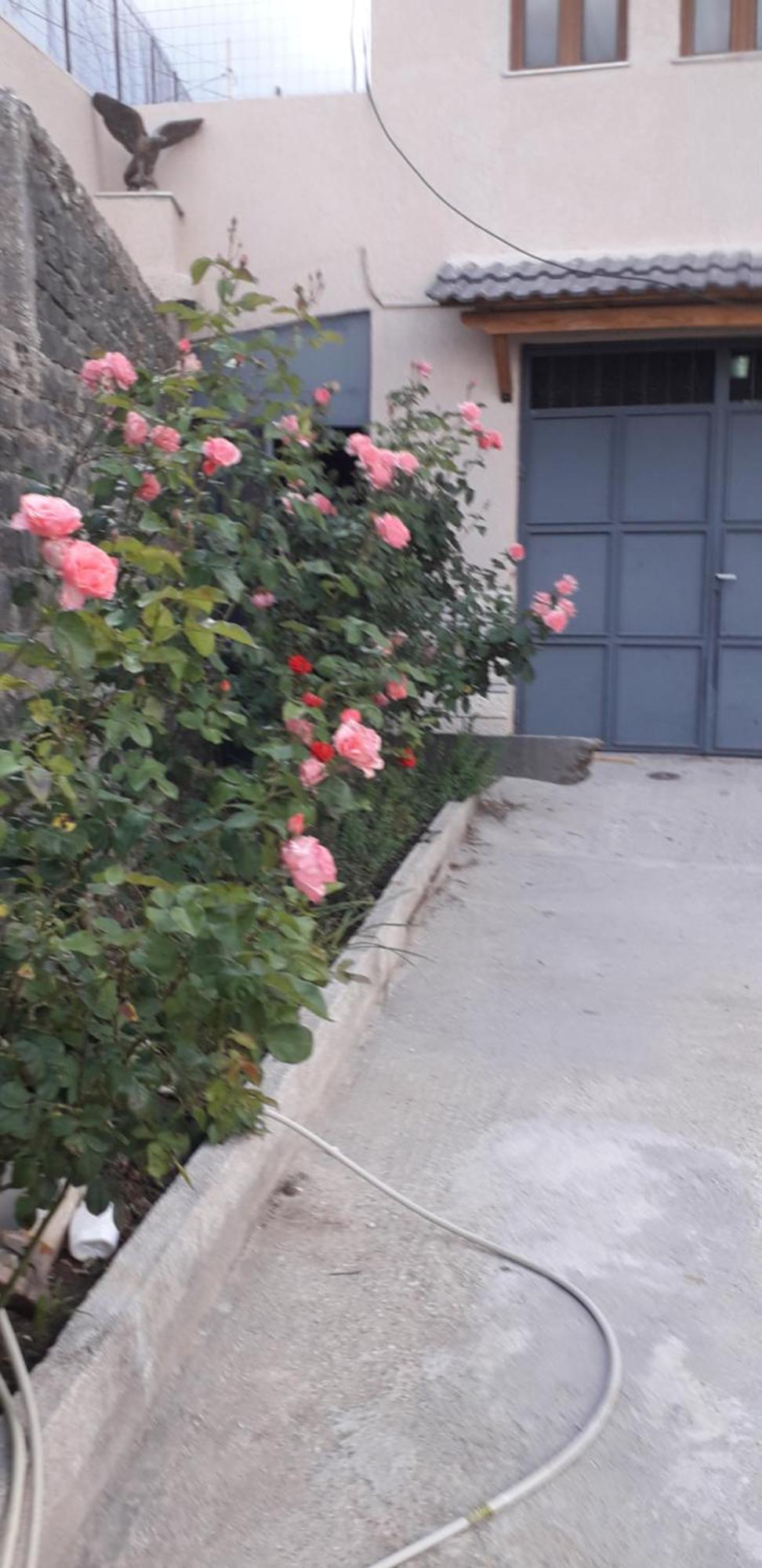Shena Guest House Gjirokastër المظهر الخارجي الصورة